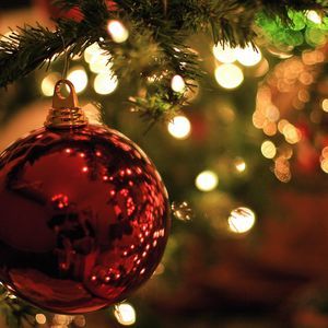 Meet your Posher, Patrycja